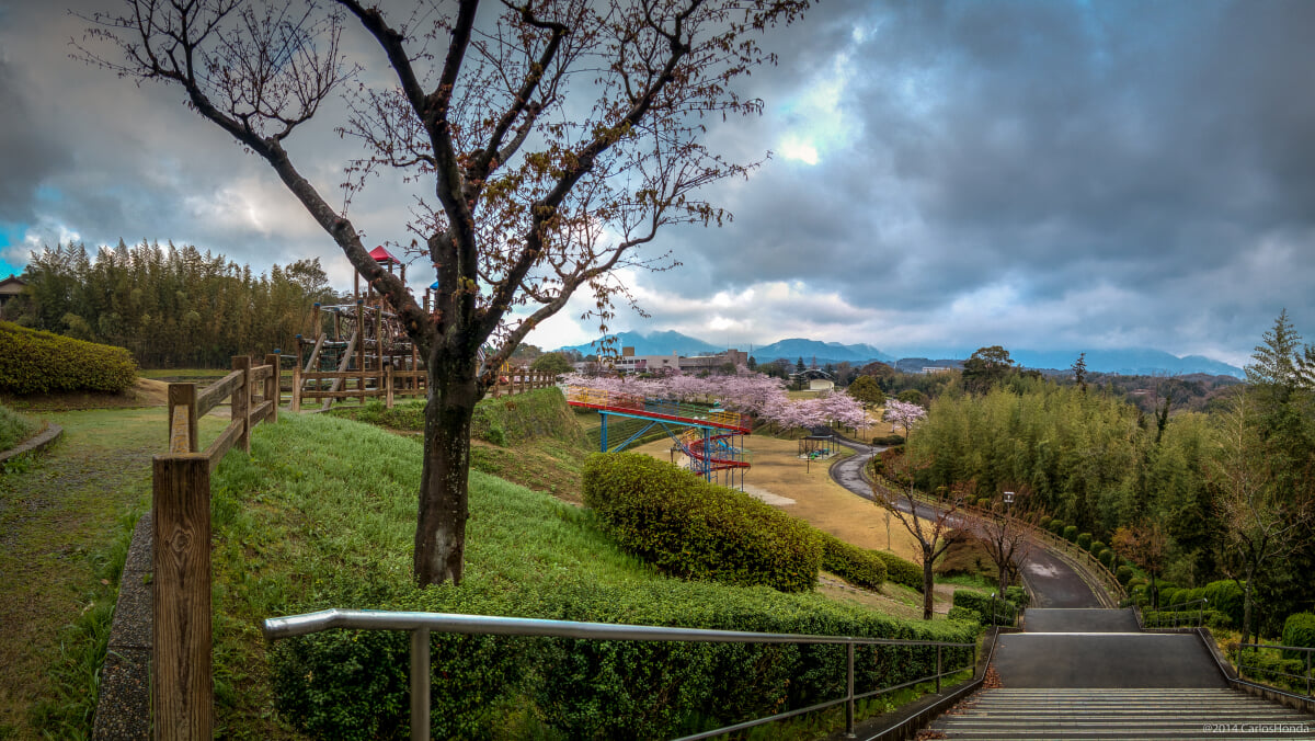 亀山公園の写真 ©carloshonda(CC BY 3.0)