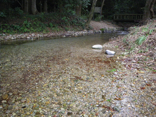 乃木神社の写真 ©Kanohara(Public domain)