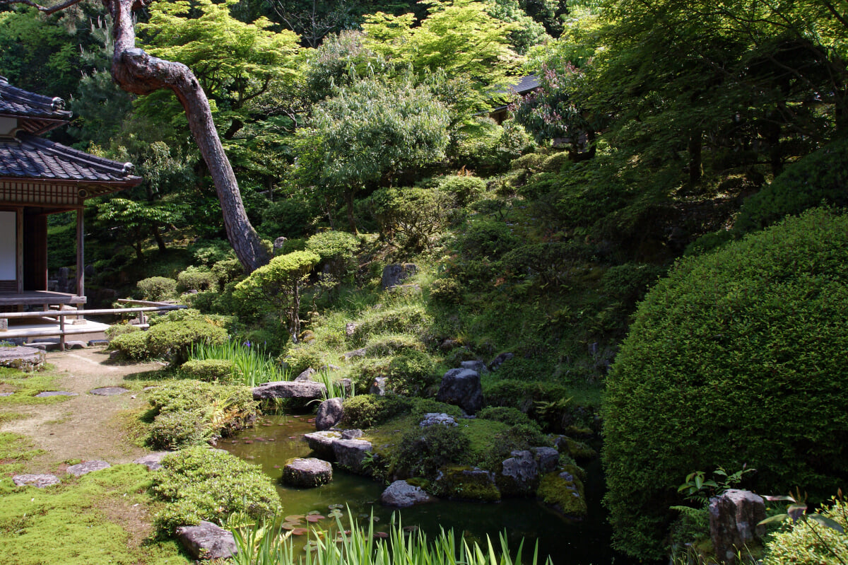 宗鏡寺の写真 ©663highland(CC-BY-SA-3.0)