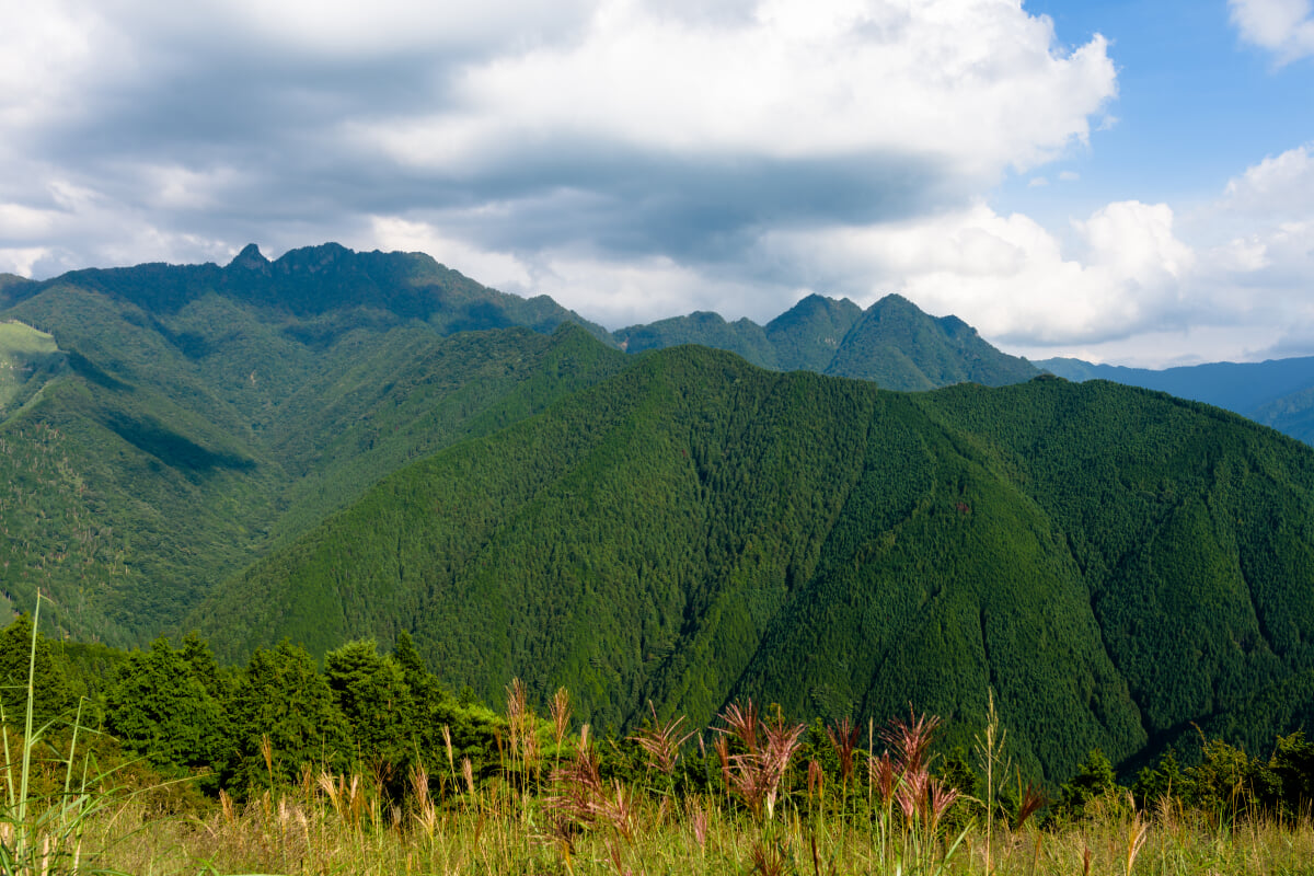 観音峯展望台の写真 ©A photographer(CC BY-SA 4.0)