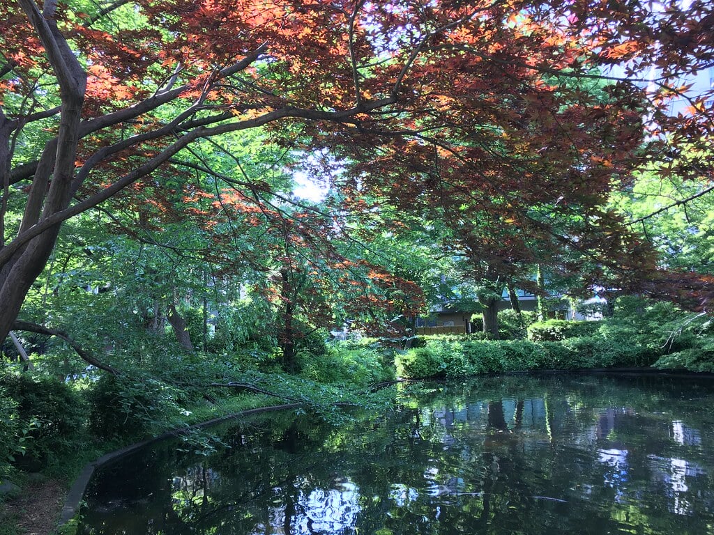 清水谷公園の写真 ©Mikhail Kotykhov(CC BY 2.0)