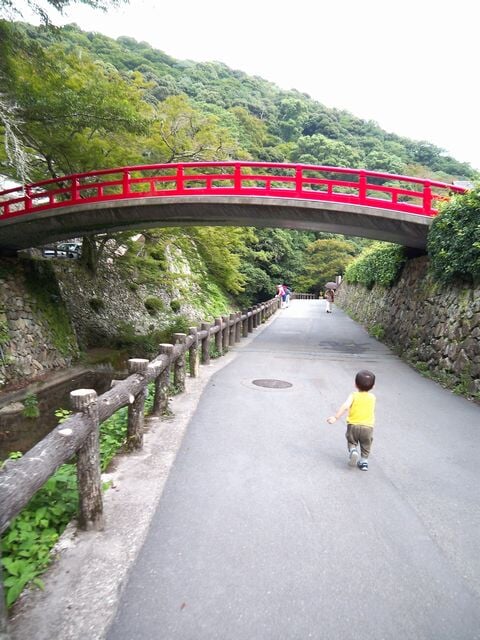 瀧安寺の写真 ©KURATA TETSURO(CC BY 3.0)