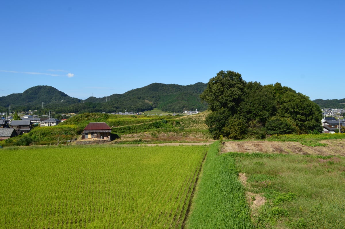 富田茶臼山古墳の写真 ©Saigen(CC0)