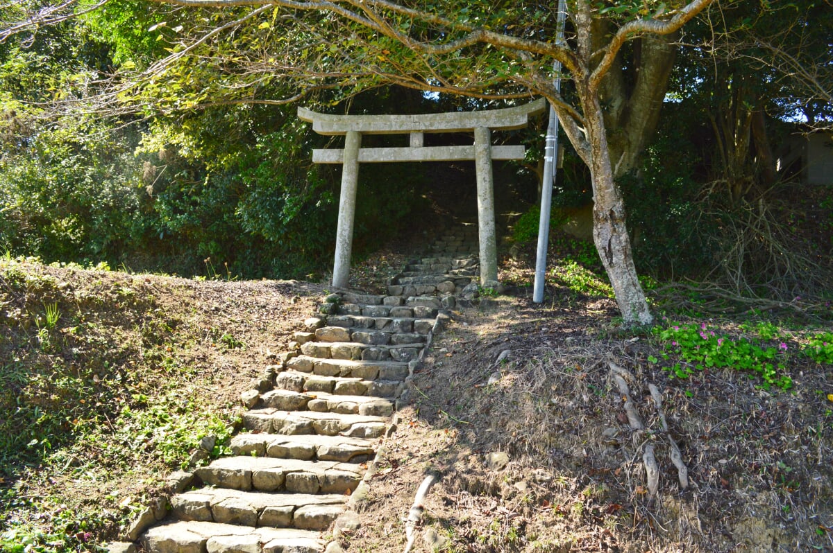 富田茶臼山古墳の写真 ©Saigen(CC0)