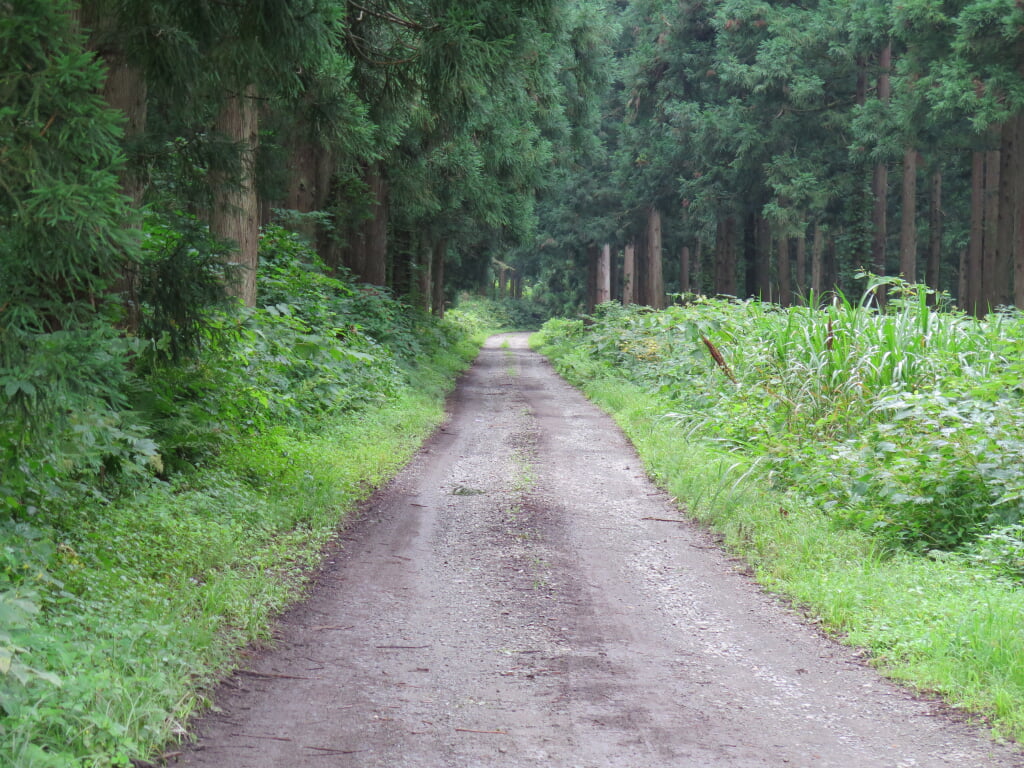 大平キャンプ場の写真 ©Douglaspperkins(CC BY 4.0)