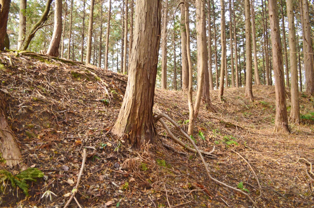 大内氷上古墳の写真 ©Saigen(CC0)