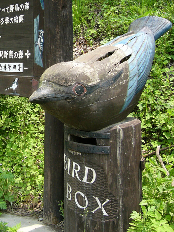 軽井沢野鳥の森の写真 ©663highland(CC-BY-SA-3.0)