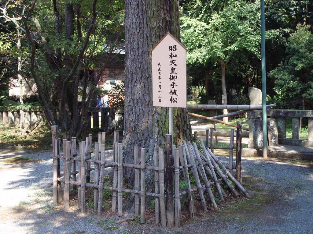 伊豆山神社の写真 ©Batholith(Public domain)