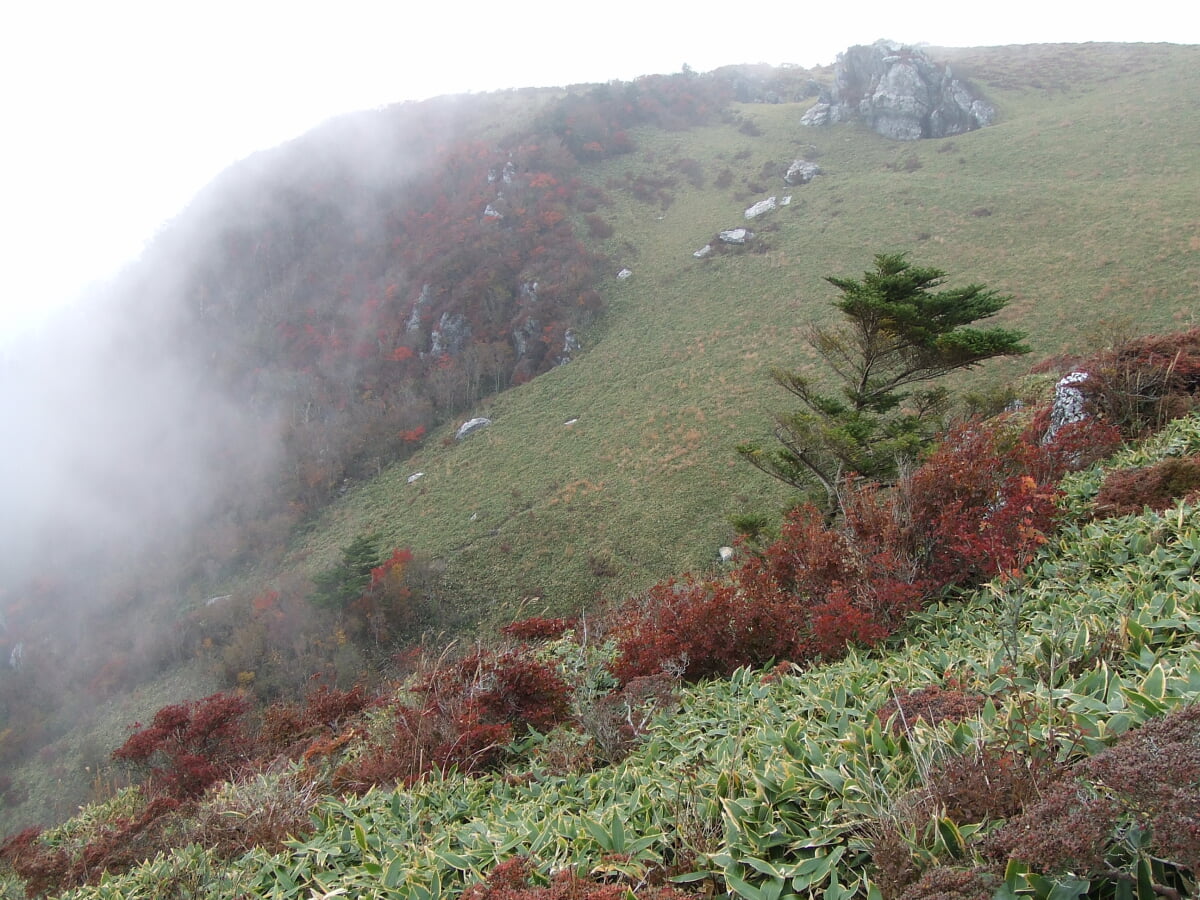 土佐矢筈山の写真 ©Dokudami(CC BY-SA 3.0)