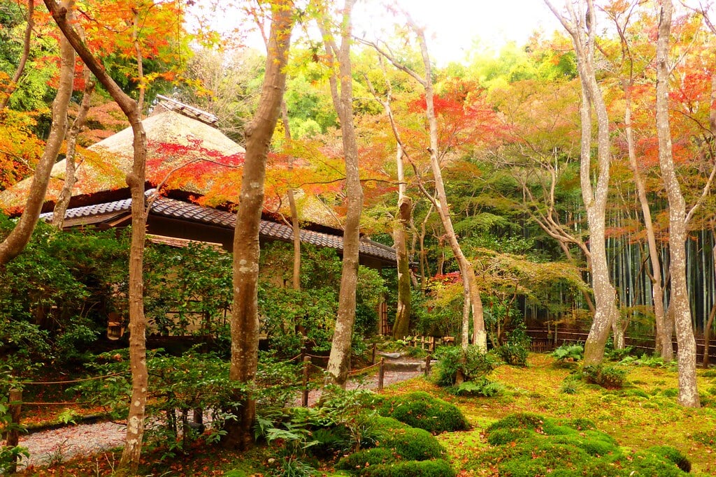 祇王寺の写真 ©Tetsuhiro Terada(CC BY 2.0)