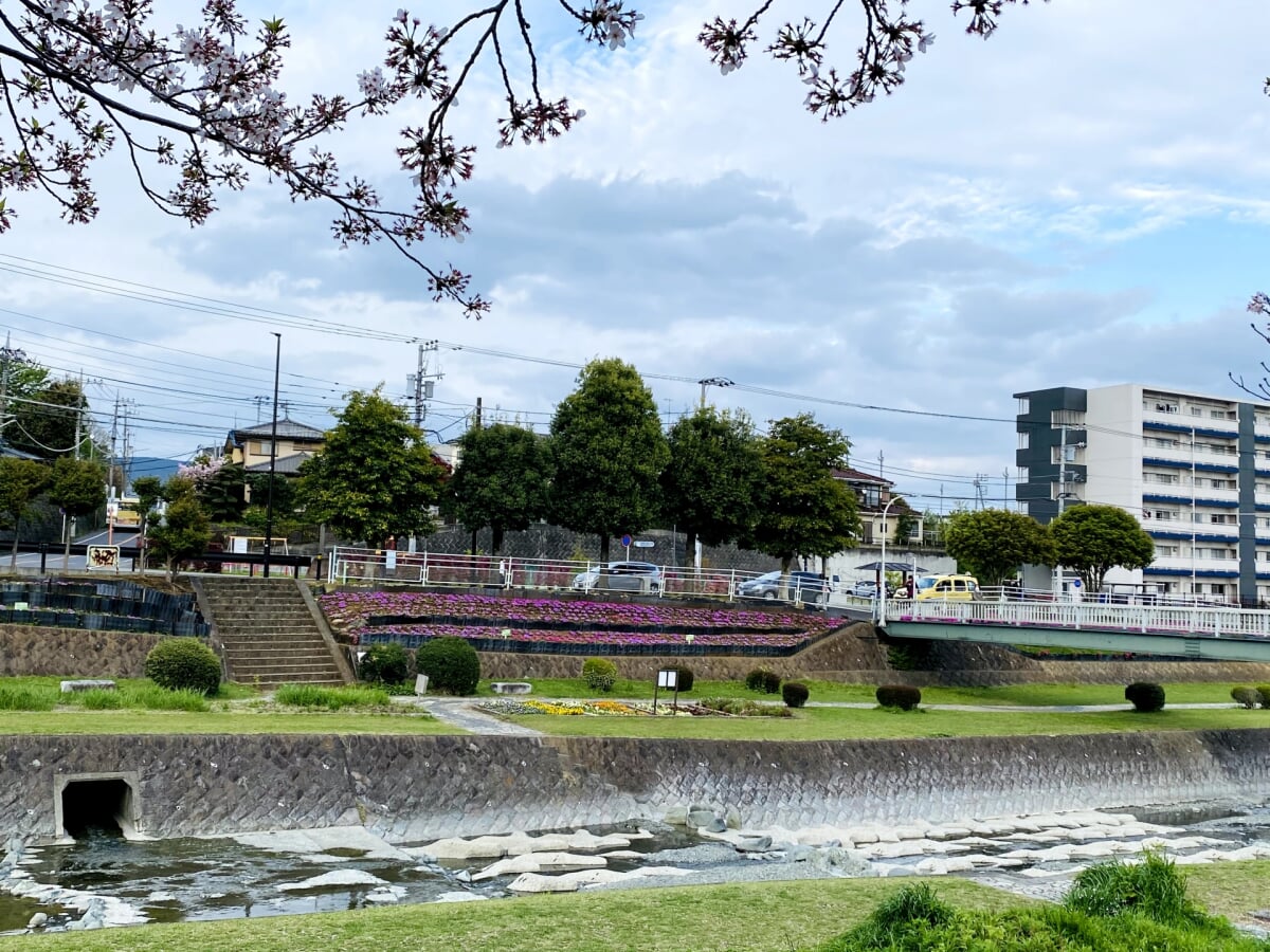 みずなし川緑地の写真 