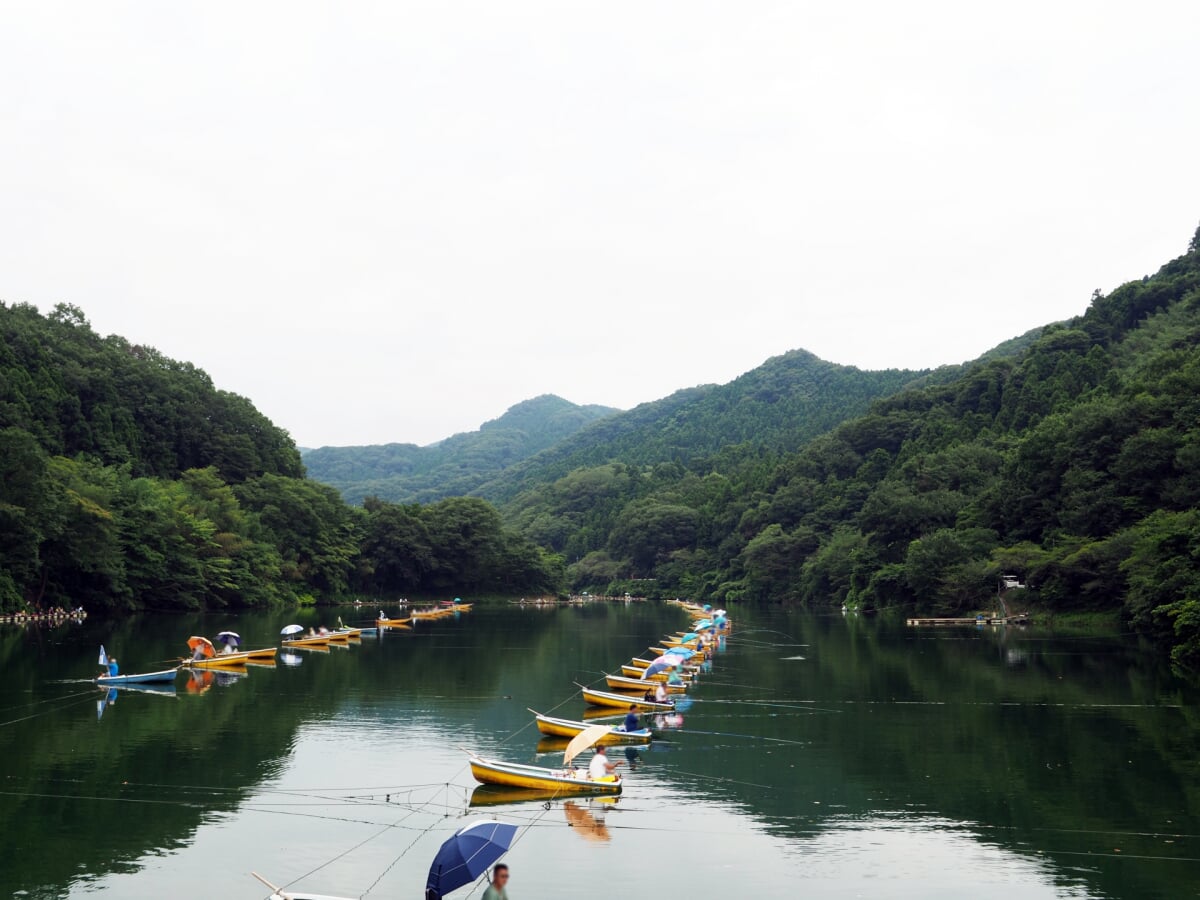 間瀬湖の写真 