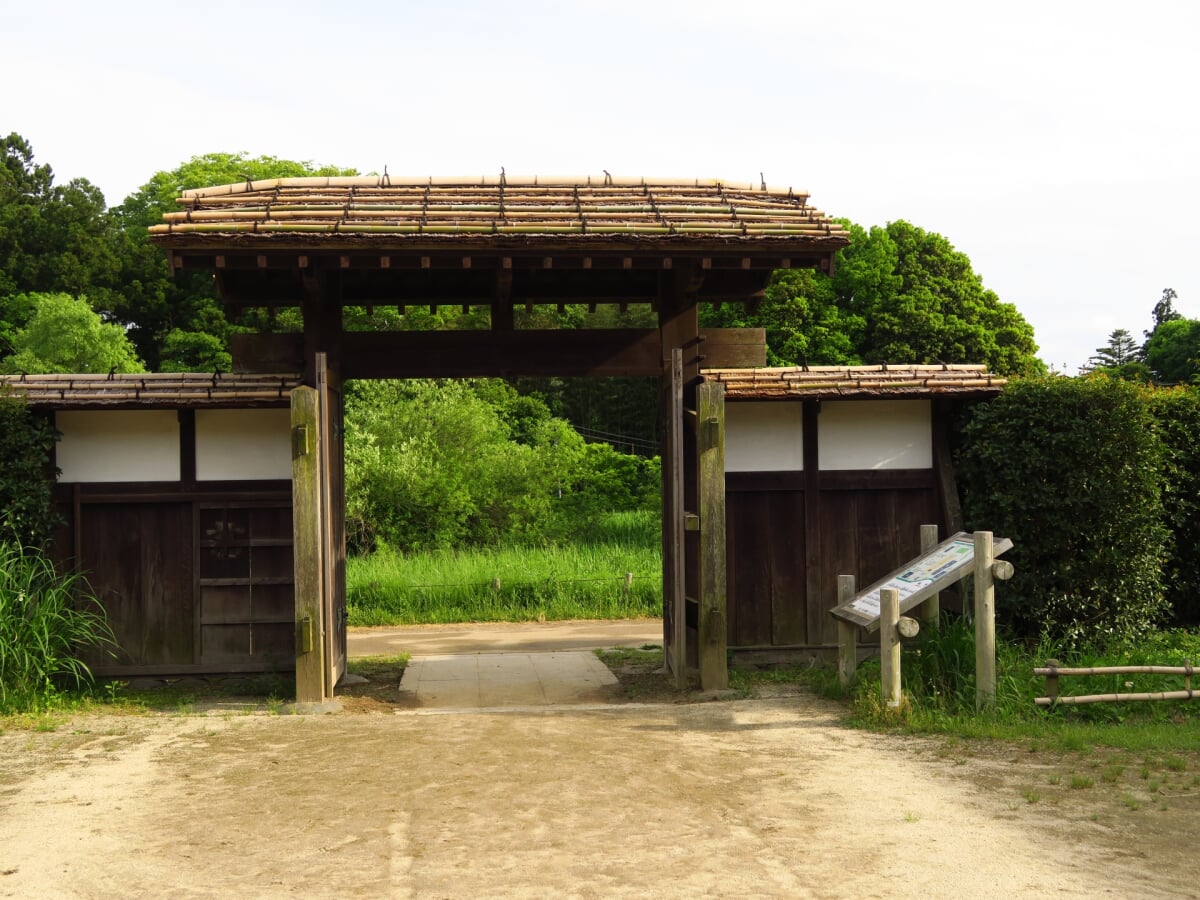 野山北・六道山公園の写真 