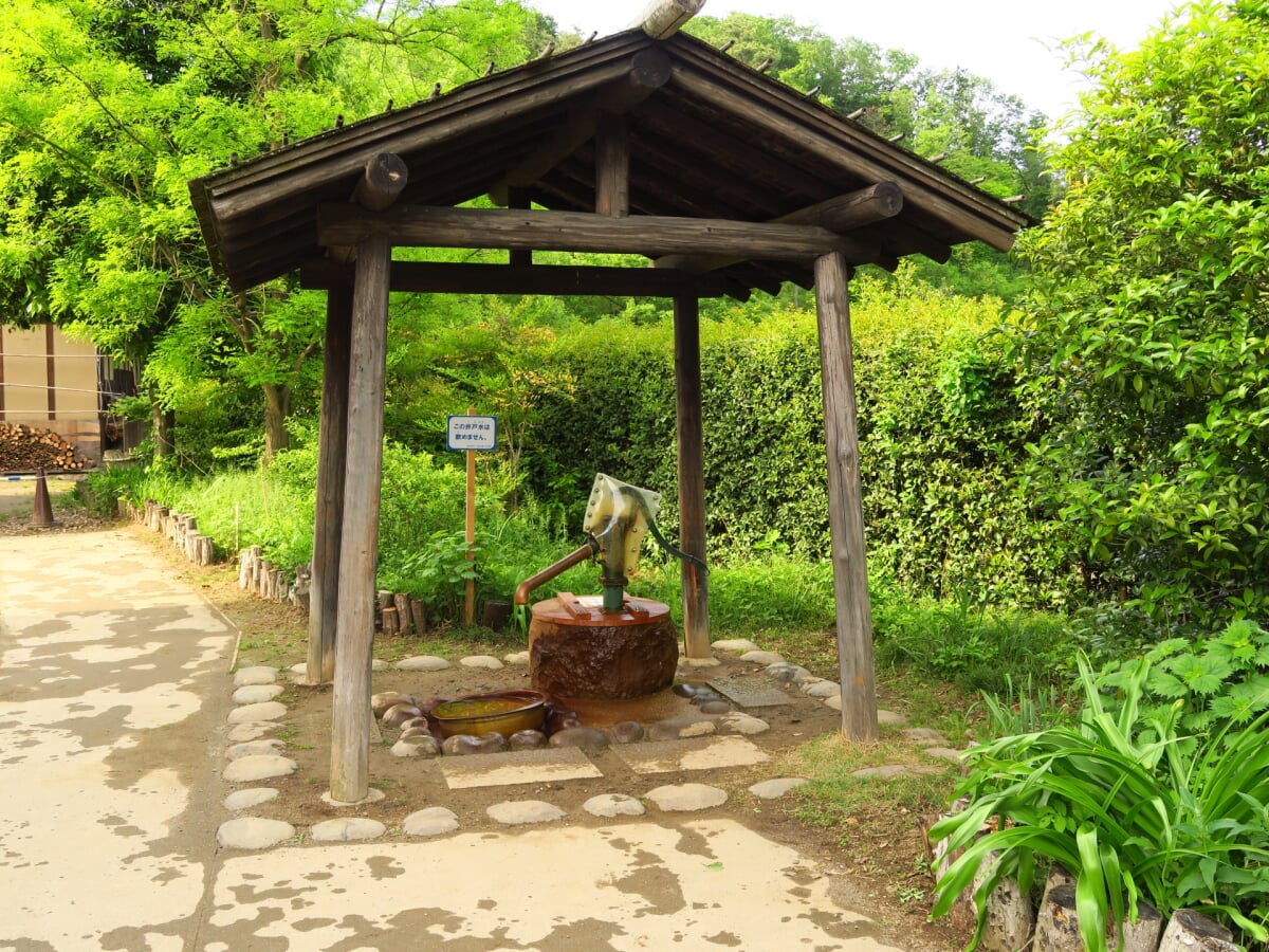 野山北・六道山公園の写真 