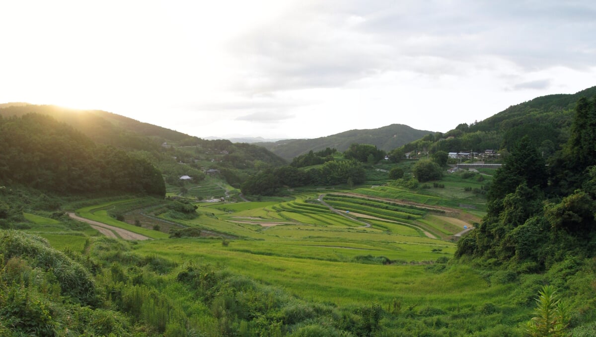 美咲町・大垪和西の棚田の写真 ©Aimaimyi(CC BY-SA 3.0)