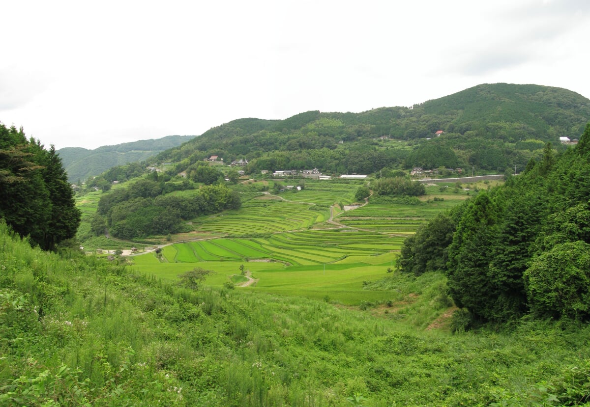 美咲町・大垪和西の棚田の写真 ©Aimaimyi(CC BY-SA 3.0)