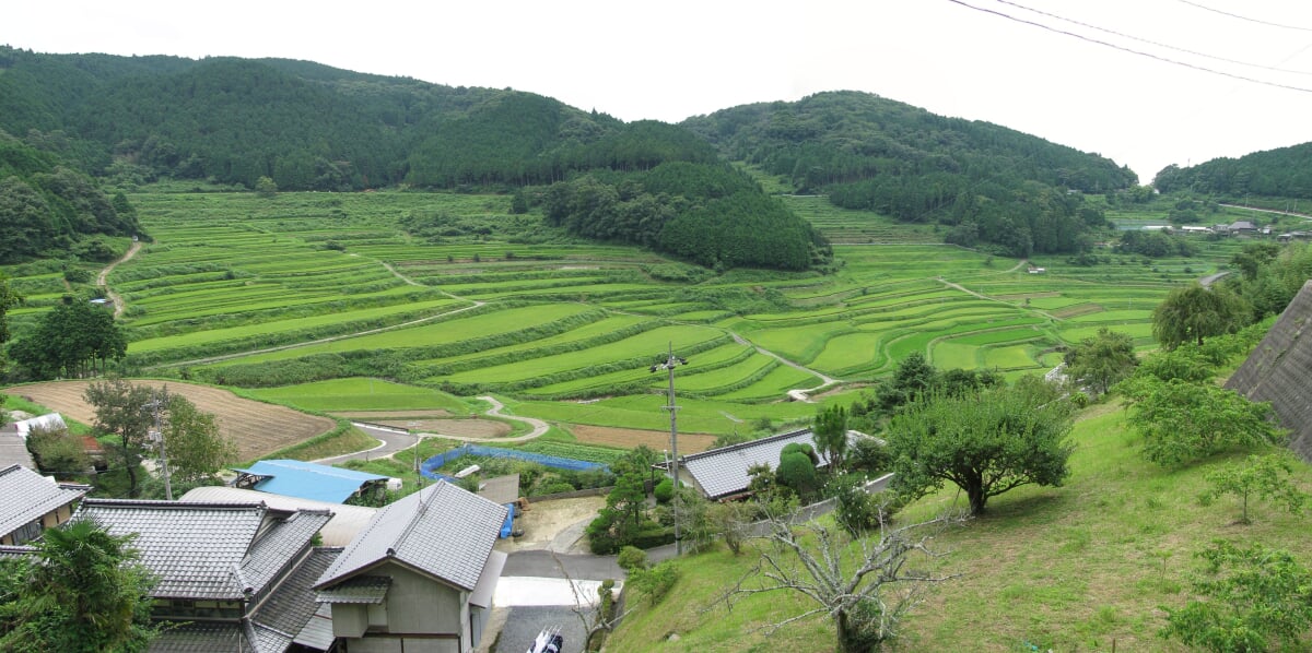 美咲町・大垪和西の棚田の写真 ©Aimaimyi(CC BY-SA 3.0)