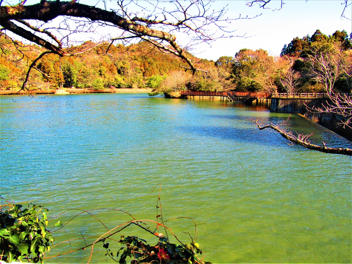 丹野池公園の写真 ©Dandy1022(CC BY-SA 4.0)