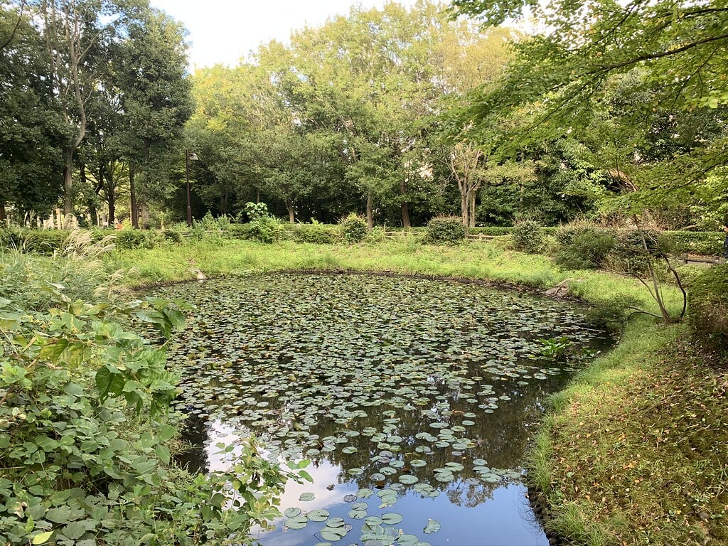 大平公園の写真 ©Mikhail Kotykhov(CC BY 2.0)