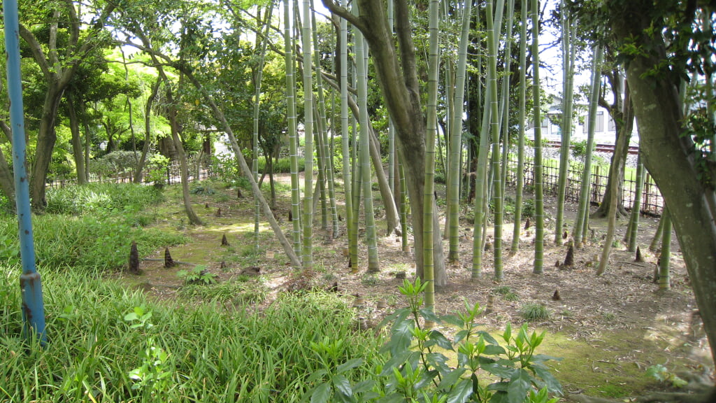 草雲美術館の写真 ©taketarou（竹太郎）(CC BY-SA 2.5)