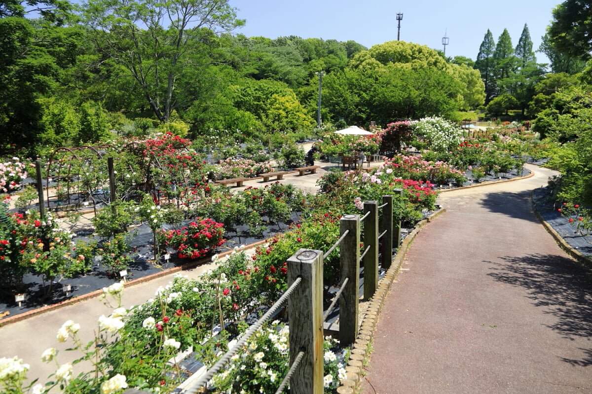 西山公園の写真 ©Tomio344456(CC BY-SA 4.0)