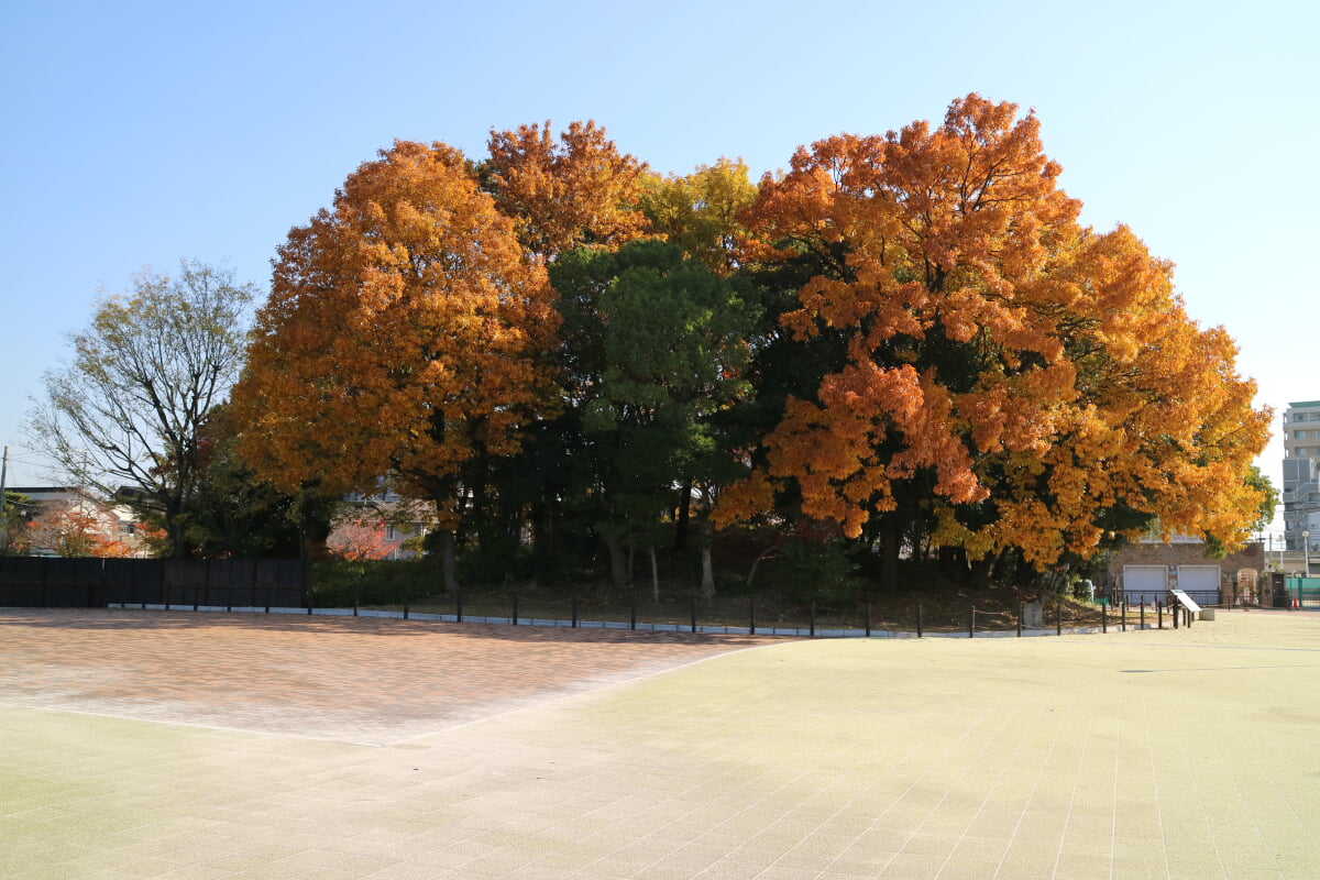 収塚古墳の写真 ©Foresttogoo(CC BY-SA 4.0)