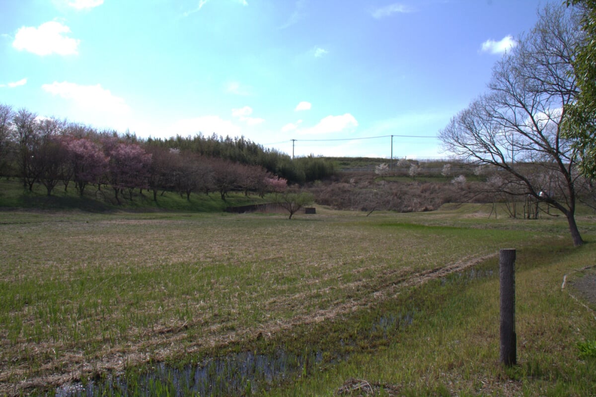 芝山水辺の里の写真 ©7GIT(CC BY-SA 4.0)