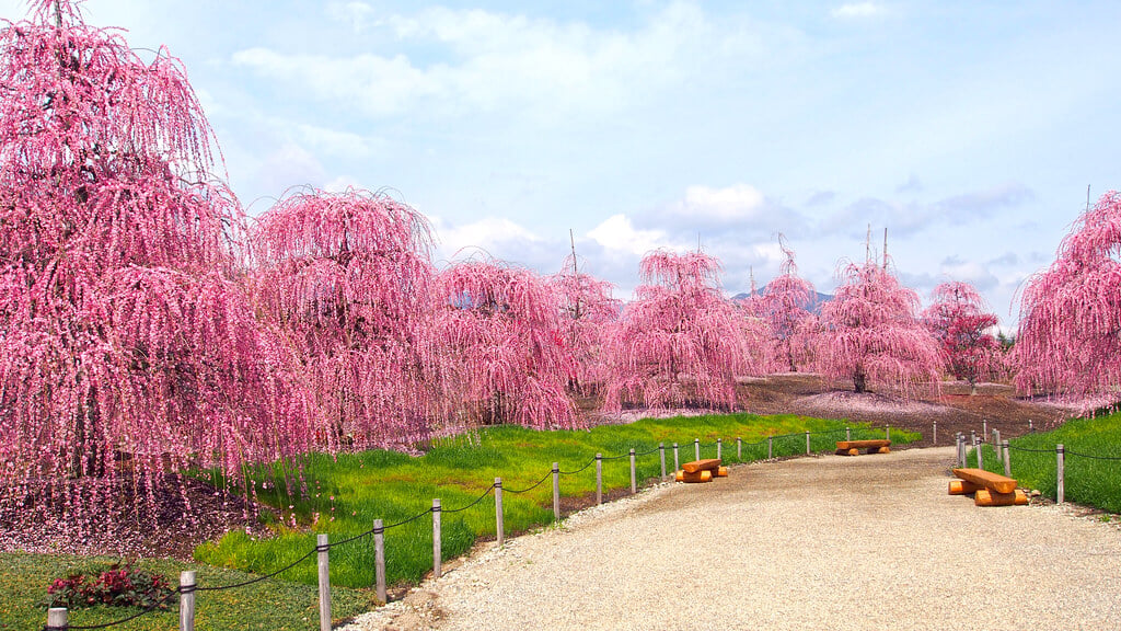 鈴鹿の森庭園の写真 ©T.Kiya(CC BY-SA 2.0)