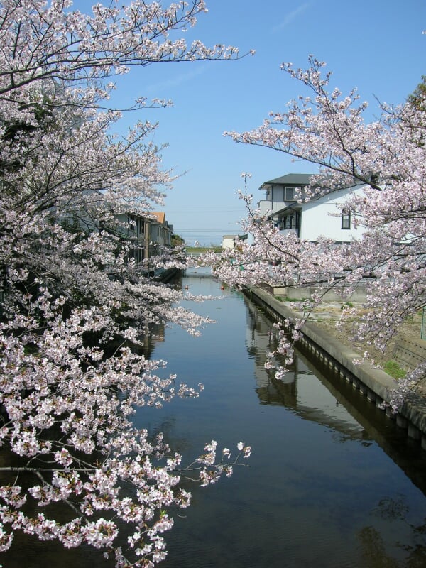 佐屋川創郷公園の写真 ©KAMUI(CC BY-SA 3.0)