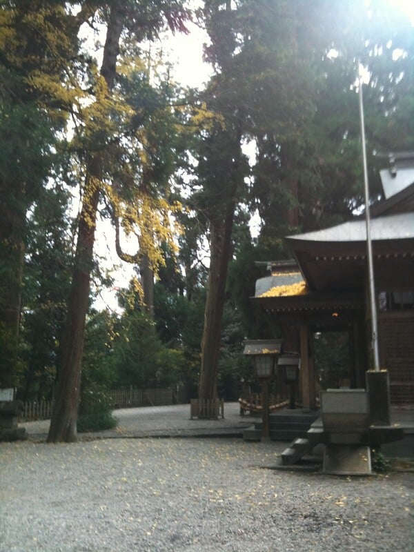 高千穂神社の写真 ©nobihaya(CC BY 2.0)