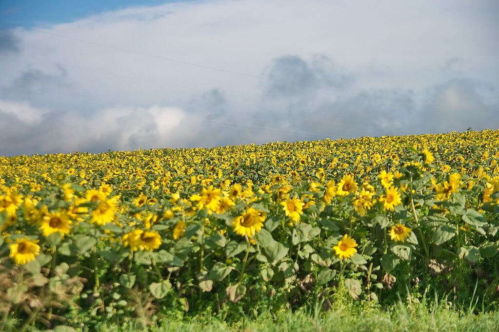 朝日ヶ丘公園の写真 ©Travel-Picture(CC BY-ND 2.0)