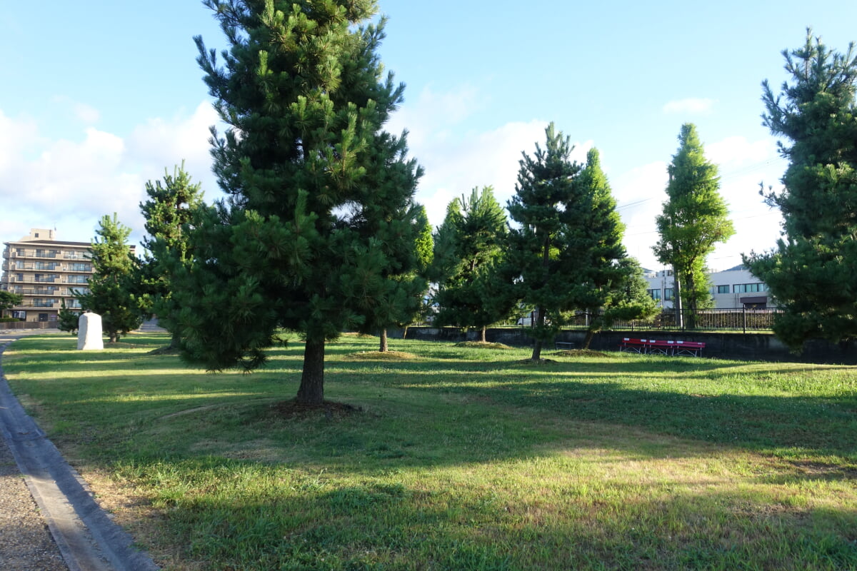 大津湖岸なぎさ公園の写真 ©Muscla3pin(CC BY-SA 4.0)