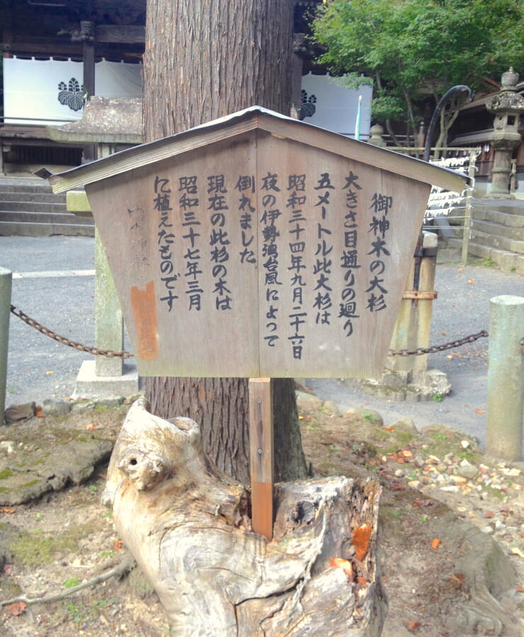 内々神社の写真 ©KKPCW(CC BY-SA 4.0)