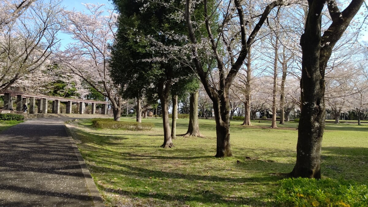 大庭城址公園の写真 