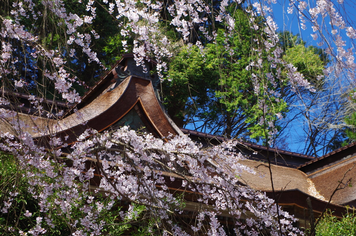 吉野水分神社の写真 ©Nankou Oronain (as36…(CC BY-SA 3.0)