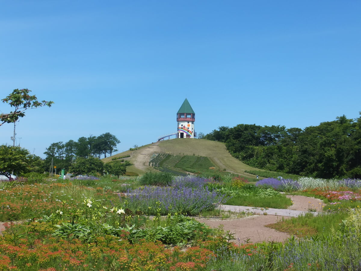 ポンポコ山公園の写真 ©掬茶(CC BY-SA 4.0)