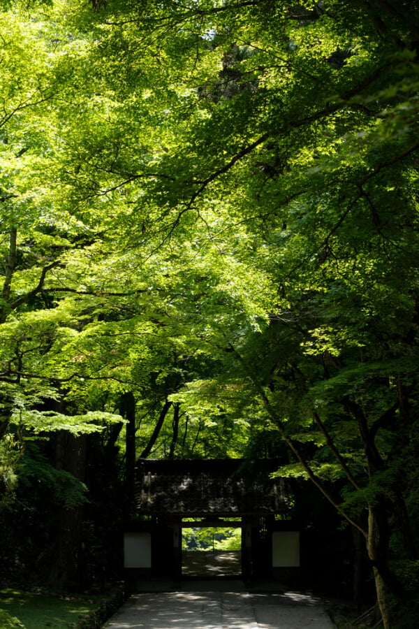 香積寺の写真 ©BONGURI(CC BY-ND 2.0)