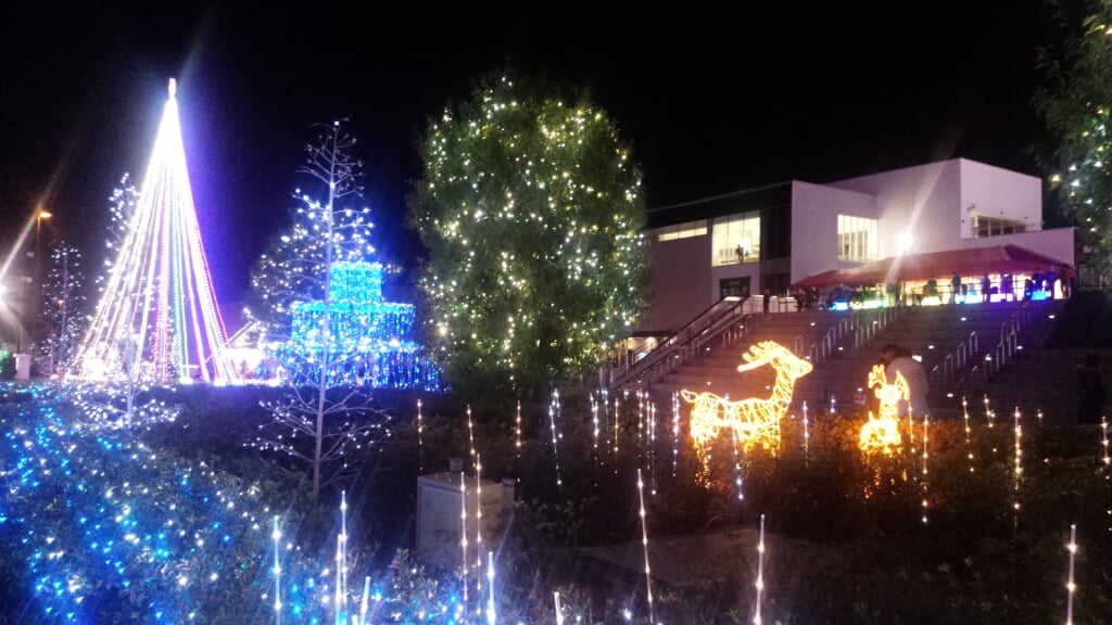 岩が池公園の写真 