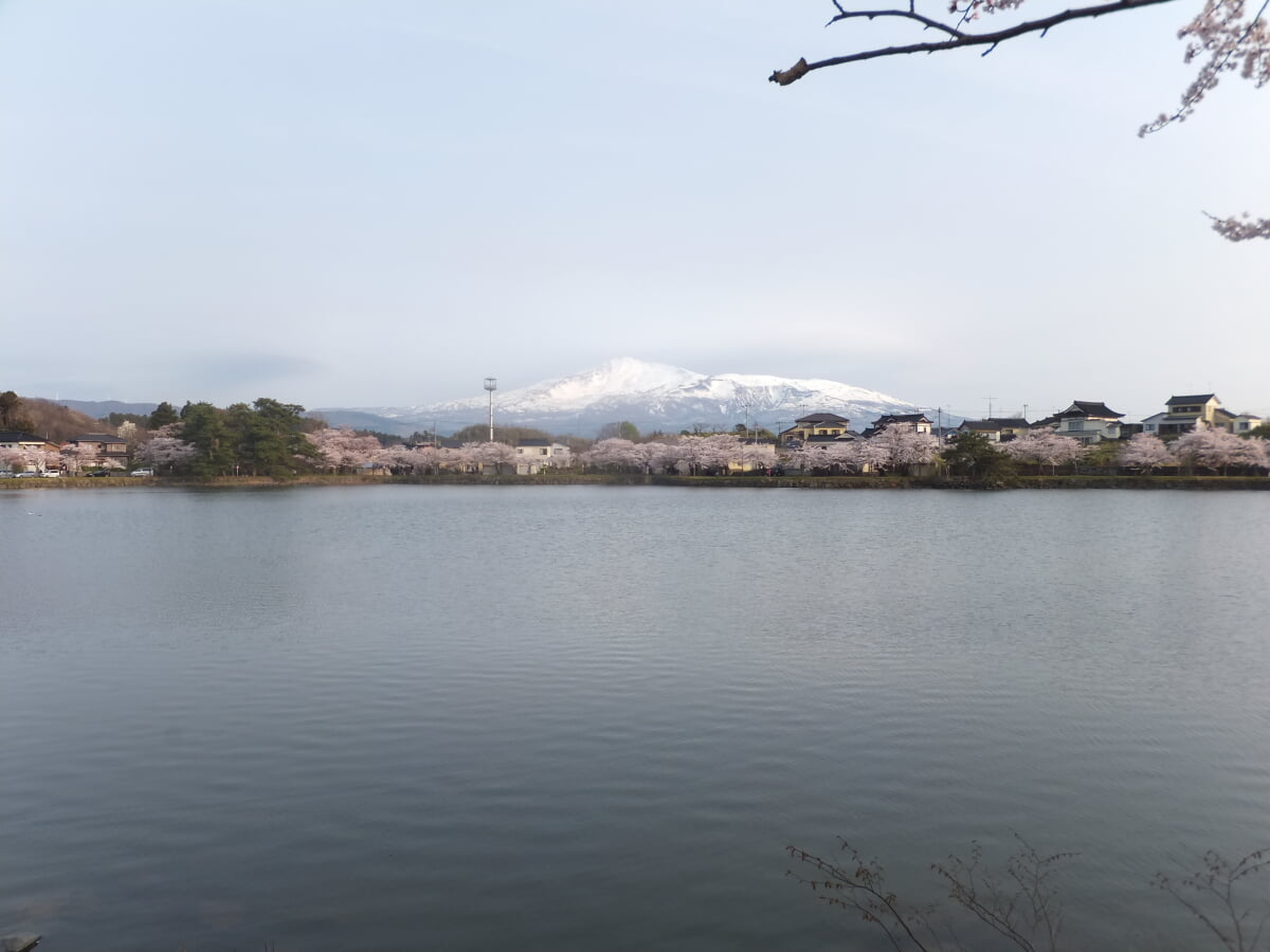 勢至公園の写真 ©掬茶(CC BY-SA 4.0)