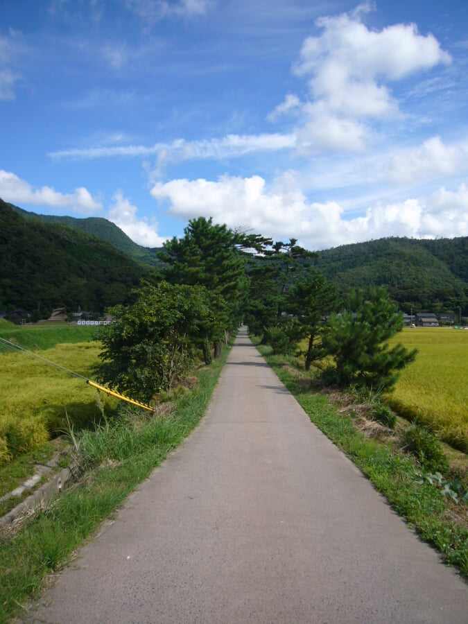 竹野神社の写真 ©VinayaMoto(CC BY-SA 4.0)