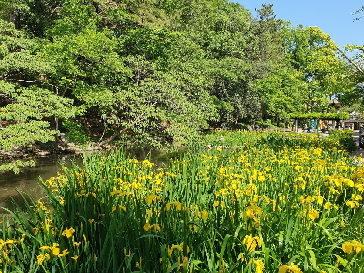 宝来公園の写真 ©Syced(CC0)