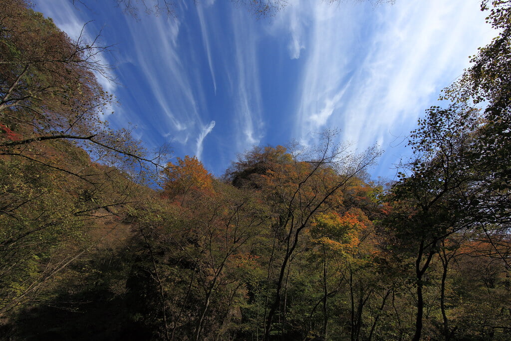 不動大滝の写真 ©TANAKA Juuyoh (田中十洋)(CC BY 2.0)