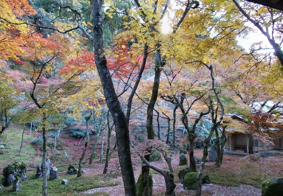 光明禅寺の写真 ©STA3816(CC BY-SA 3.0)