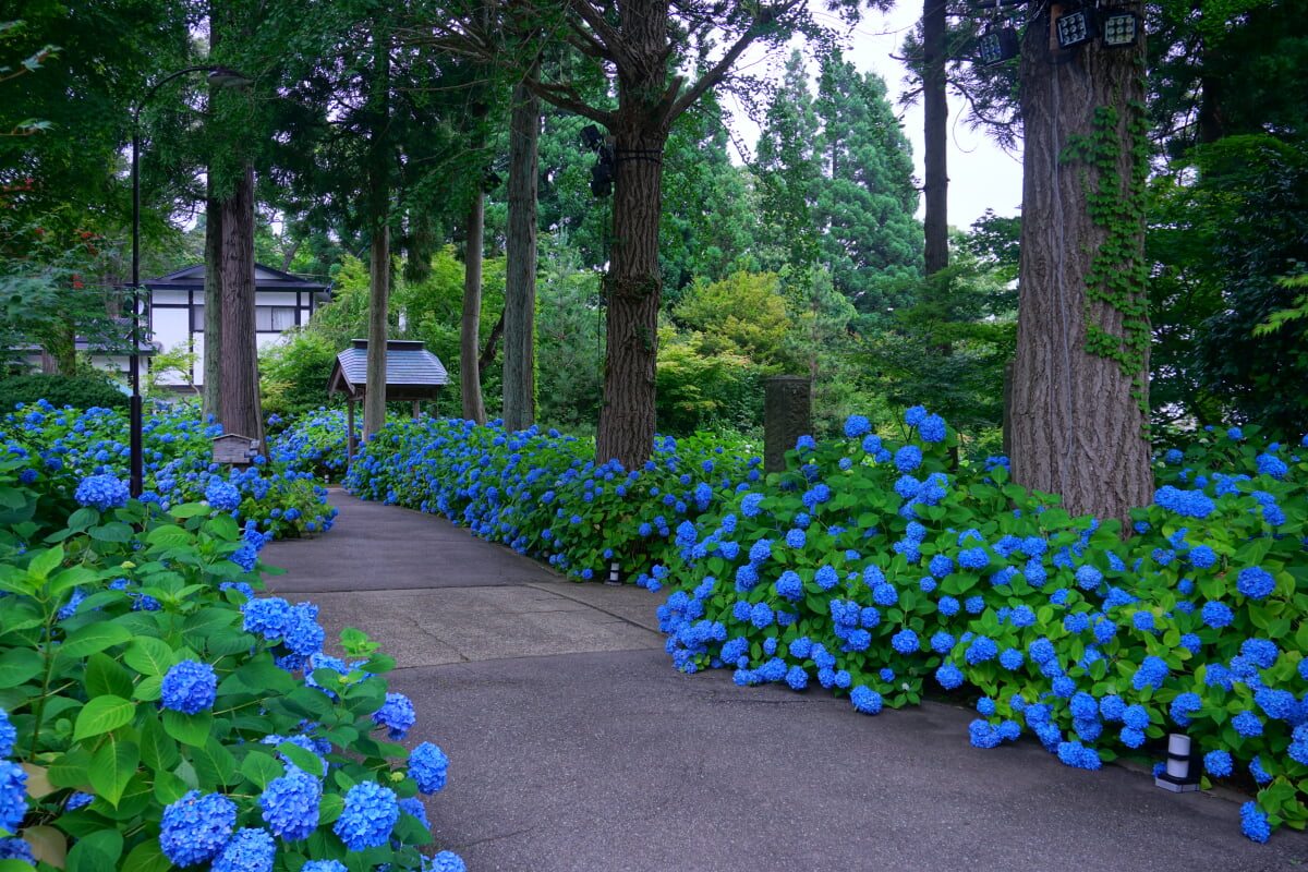 雲昌寺の写真 ©掬茶(CC BY-SA 4.0)