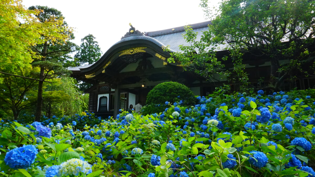 雲昌寺の写真 ©掬茶(CC BY-SA 4.0)