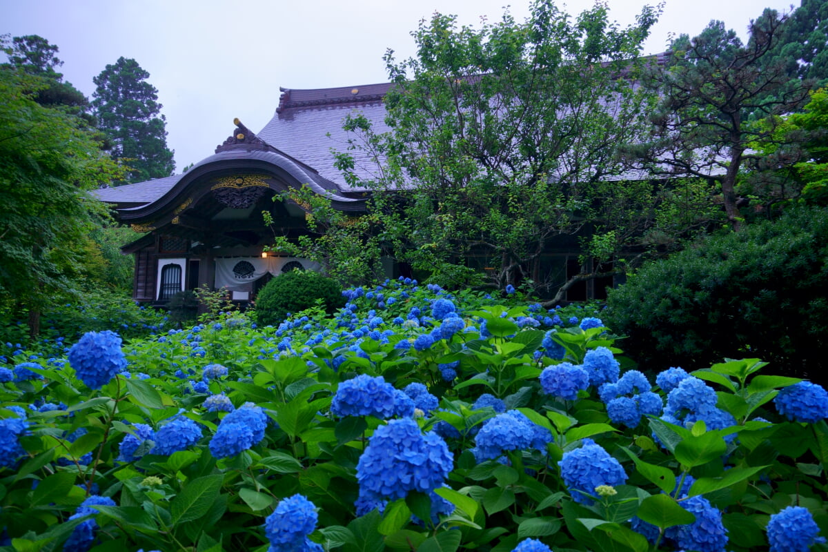 雲昌寺の写真 ©掬茶(CC BY-SA 4.0)