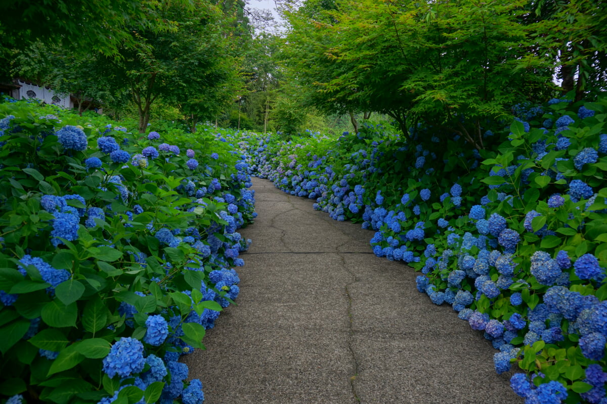 雲昌寺の写真 ©掬茶(CC BY-SA 4.0)