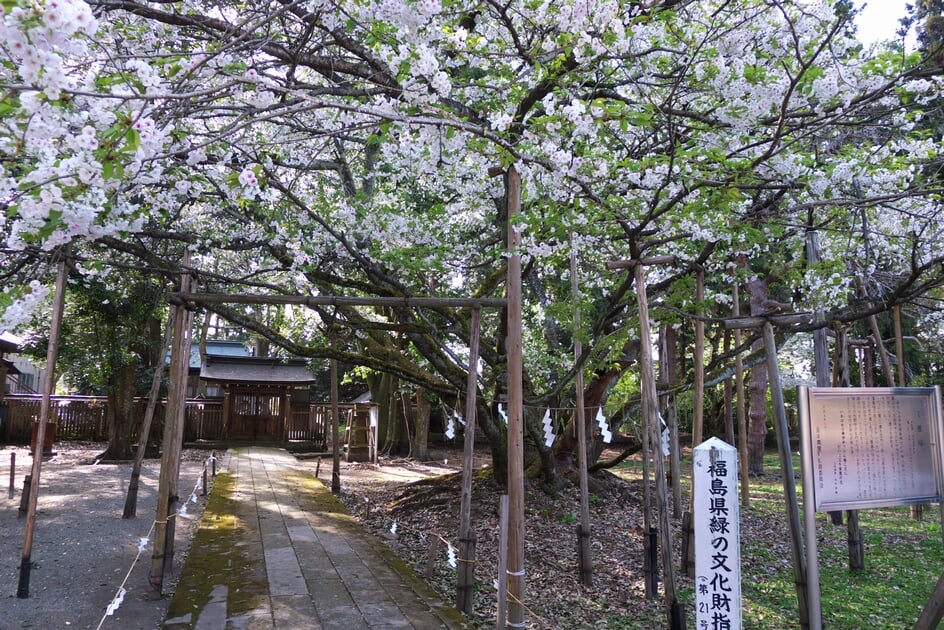 伊佐須美神社の写真 ©Kg from Japan.(CC BY-SA 2.1 jp)