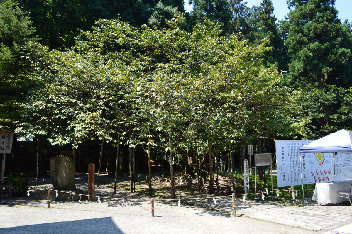 伊佐須美神社の写真 ©Saigen(CC0)