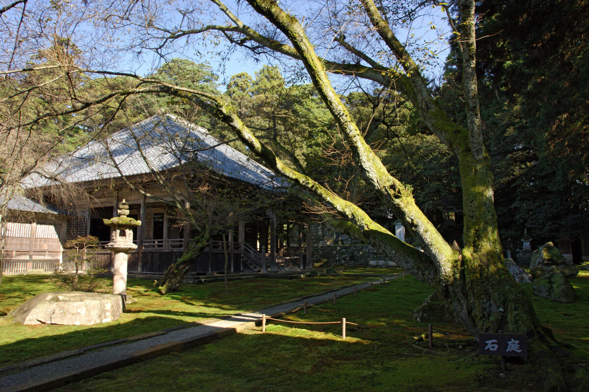 瀧谷寺の写真 ©663highland(CC-BY-SA-3.0)